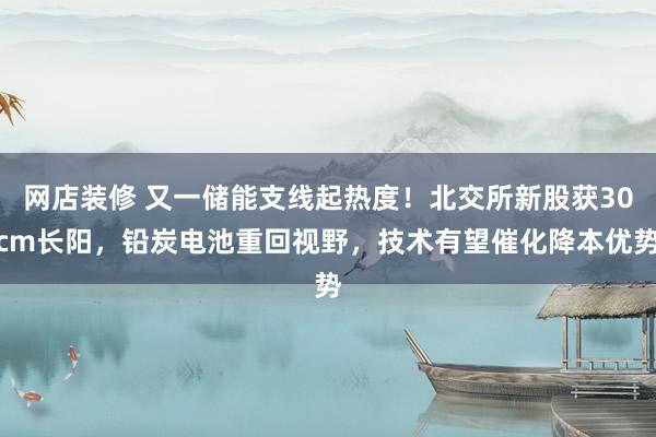 网店装修 又一储能支线起热度！北交所新股获30cm长阳，铅炭电池重回视野，技术有望催化降本优势