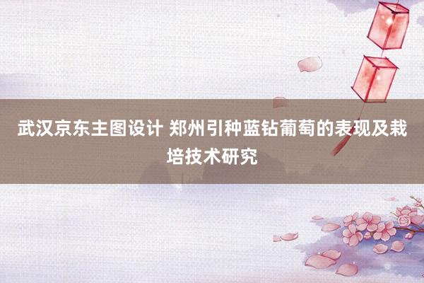 武汉京东主图设计 郑州引种蓝钻葡萄的表现及栽培技术研究