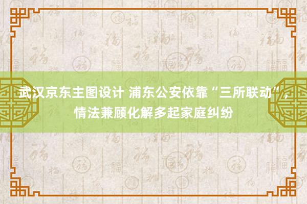 武汉京东主图设计 浦东公安依靠“三所联动”，情法兼顾化解多起家庭纠纷