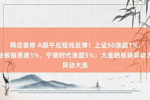 网店装修 A股午后短线反弹！上证50涨超1%，创业板指涨逾1%，宁德时代涨超5%；大金融板块异动大涨