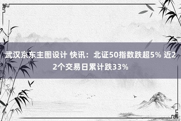 武汉京东主图设计 快讯：北证50指数跌超5% 近22个交易日累计跌33%