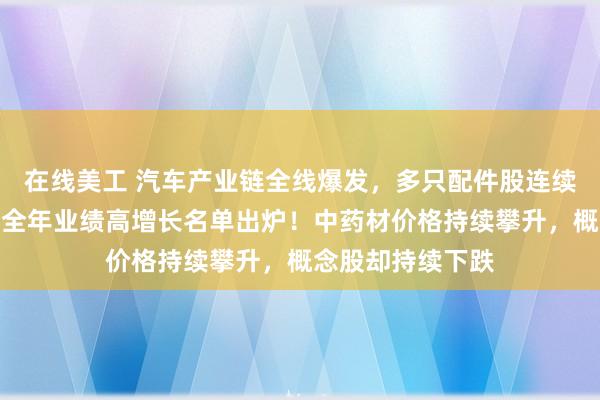 在线美工 汽车产业链全线爆发，多只配件股连续涨停，机构预测全年业绩高增长名单出炉！中药材价格持续攀升，概念股却持续下跌